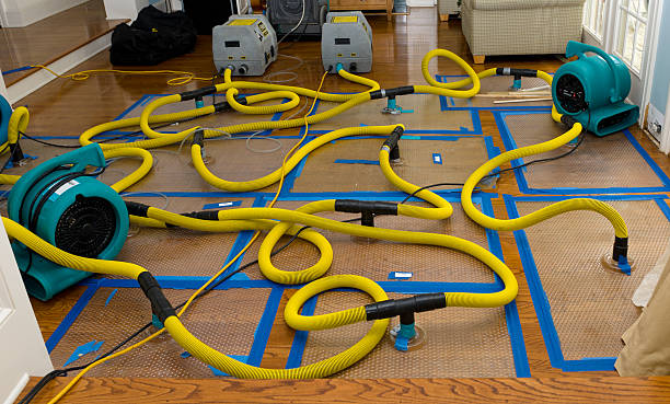 Professional Water Damage Repair technician working in Grantville, GA